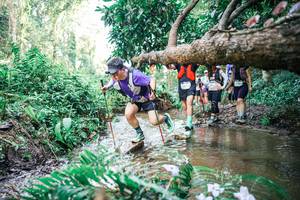 BIB: 
                            <button type="button" onclick="openModal(25478680)" class="btn btn-primary btn-sm float-right btn-popup" data-toggle="modal" data-target=".modal-high-quality">
                        <i class="fas fa-shopping-cart"></i> Add to Cart
                    </button>
                                            <button type="button" onclick="isThisMe(25478680, true)" class="btn btn-success btn-sm float-right btn-popup btn-isme hidden" data-toggle="tooltip" data-placement="bottom" title="นี่คือรูปของคุณใช่ไหม คลิกที่นี่เพื่อเอาเข้าอัลบั้ม">
                        <i class="fas fa-plus"></i> Add to album
                    </button>
                    <button type="button" onclick="isThisMe(25478680, false)" class="btn btn-warning btn-sm float-right btn-popup btn-isnotme hidden">
                        <i class="fas fa-ban"></i> Remove from album
                    </button>